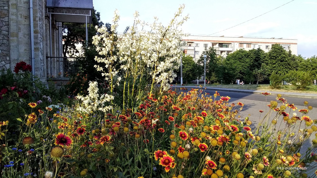 город Измаил, улица Шевченко