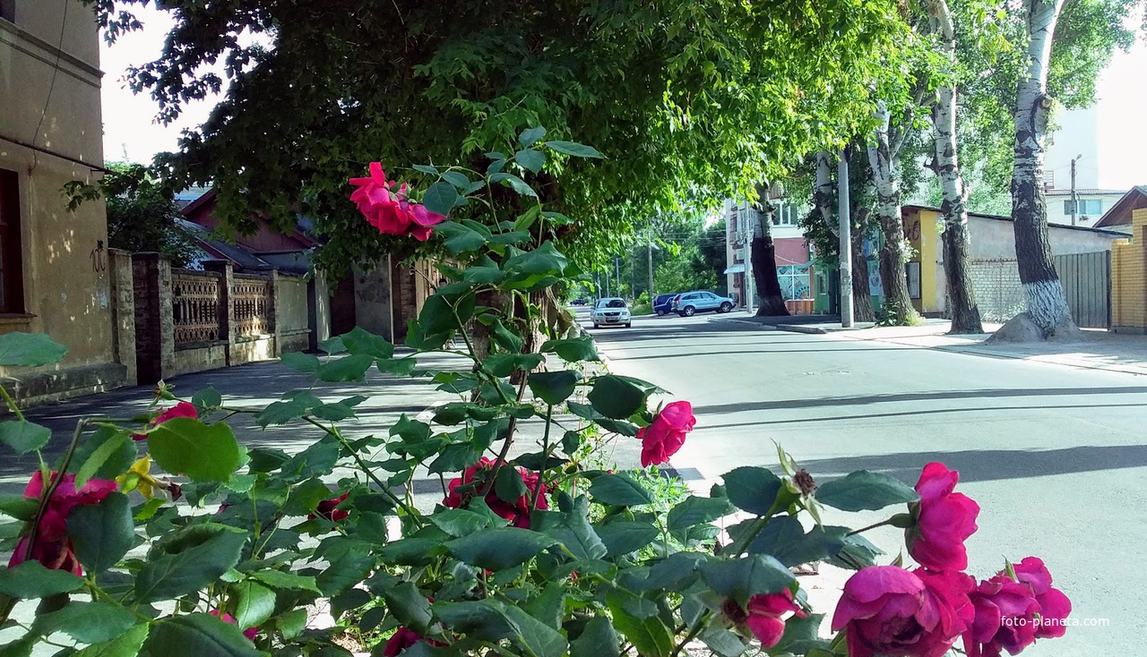 город Измаил, улица Кишиневская