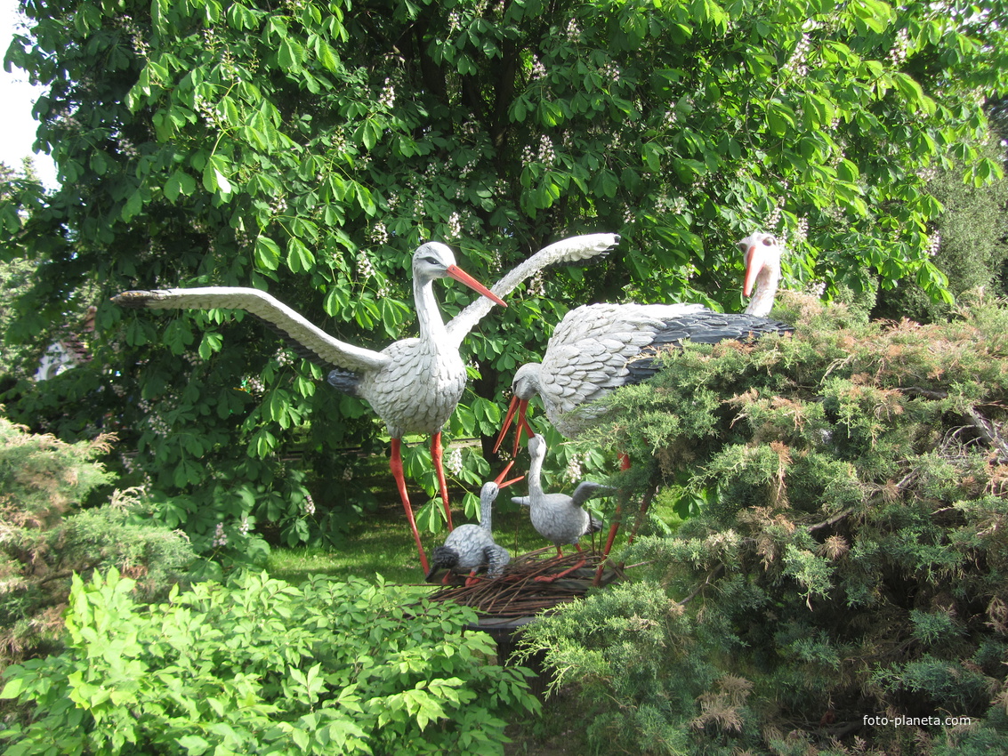 Диво-Остров