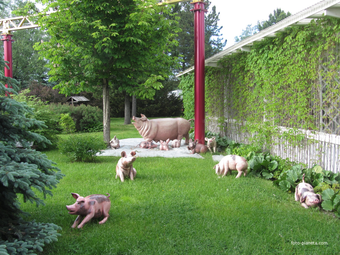 Диво-Остров