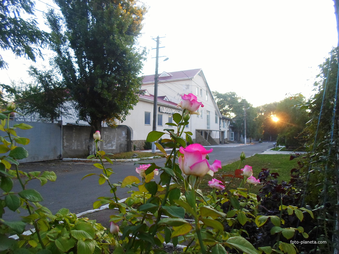 город Измаил, улица Пушкина