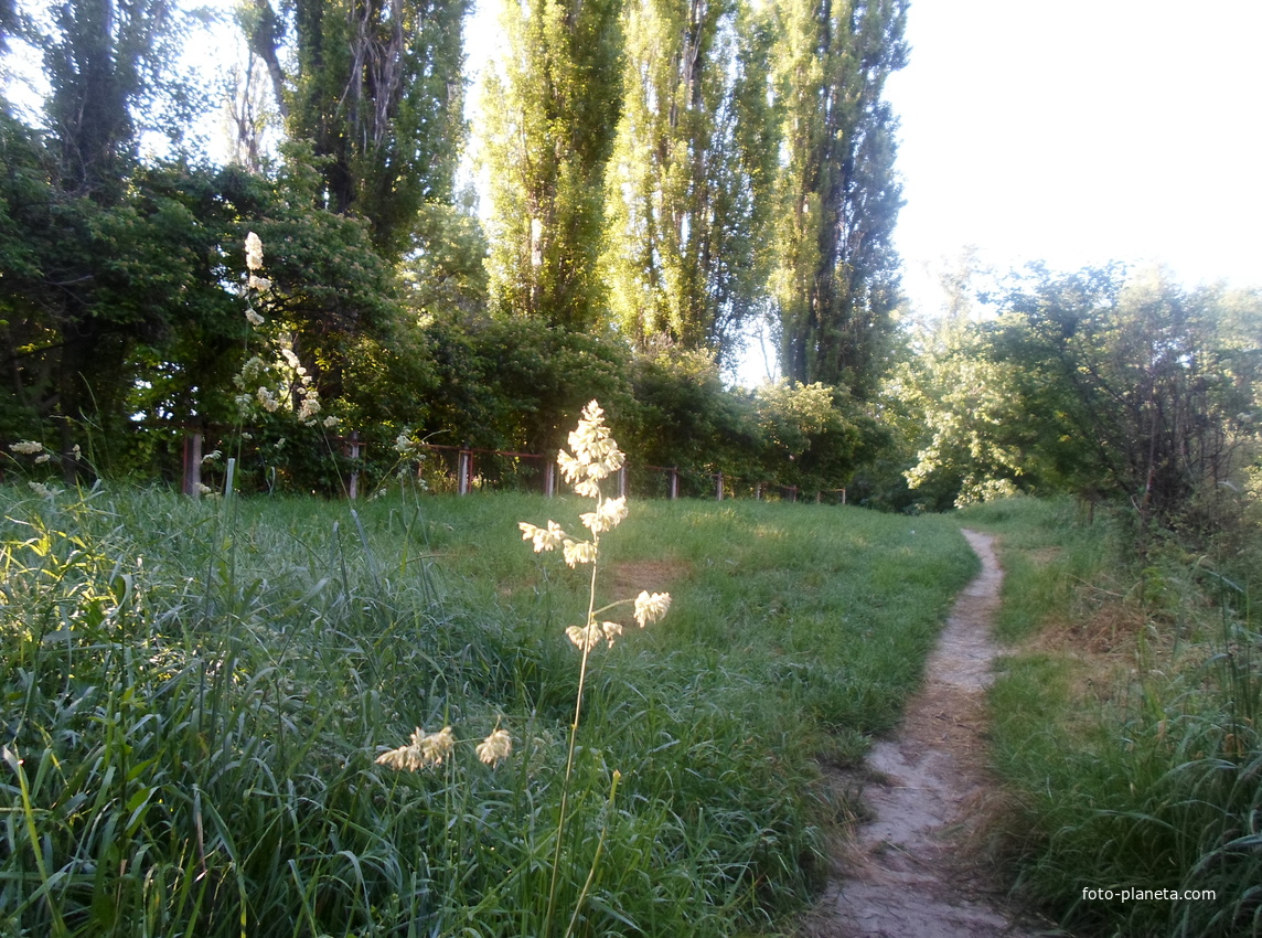 город Измаил, улица Клушина