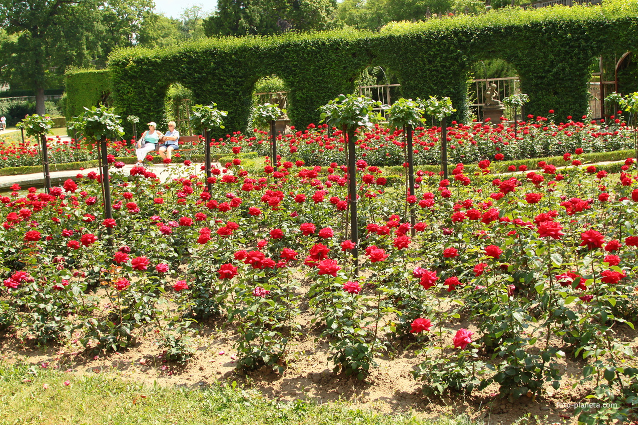 Сад Резиденции