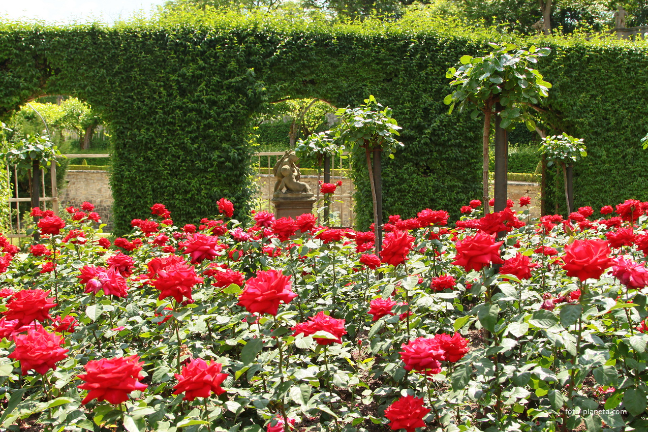 Сад Резиденции