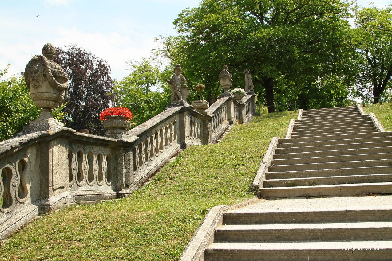 Сад Резиденции