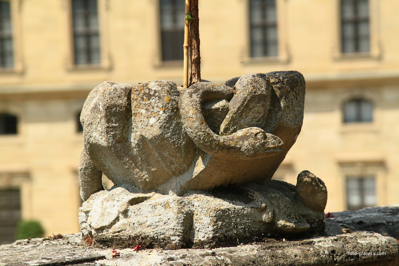 Сад Резиденции