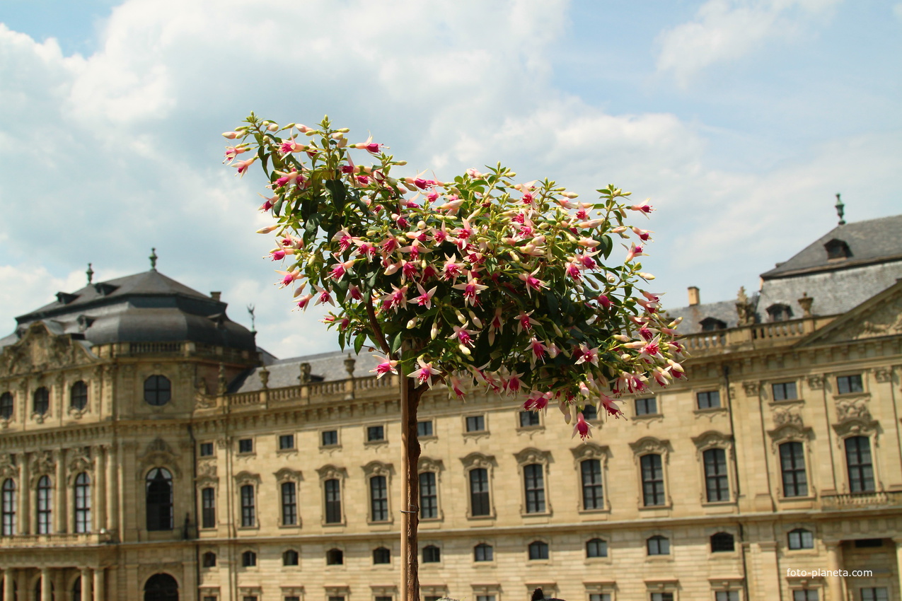 Сад Резиденции
