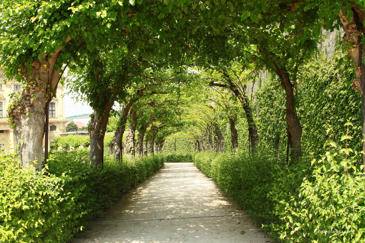 Сад Резиденции