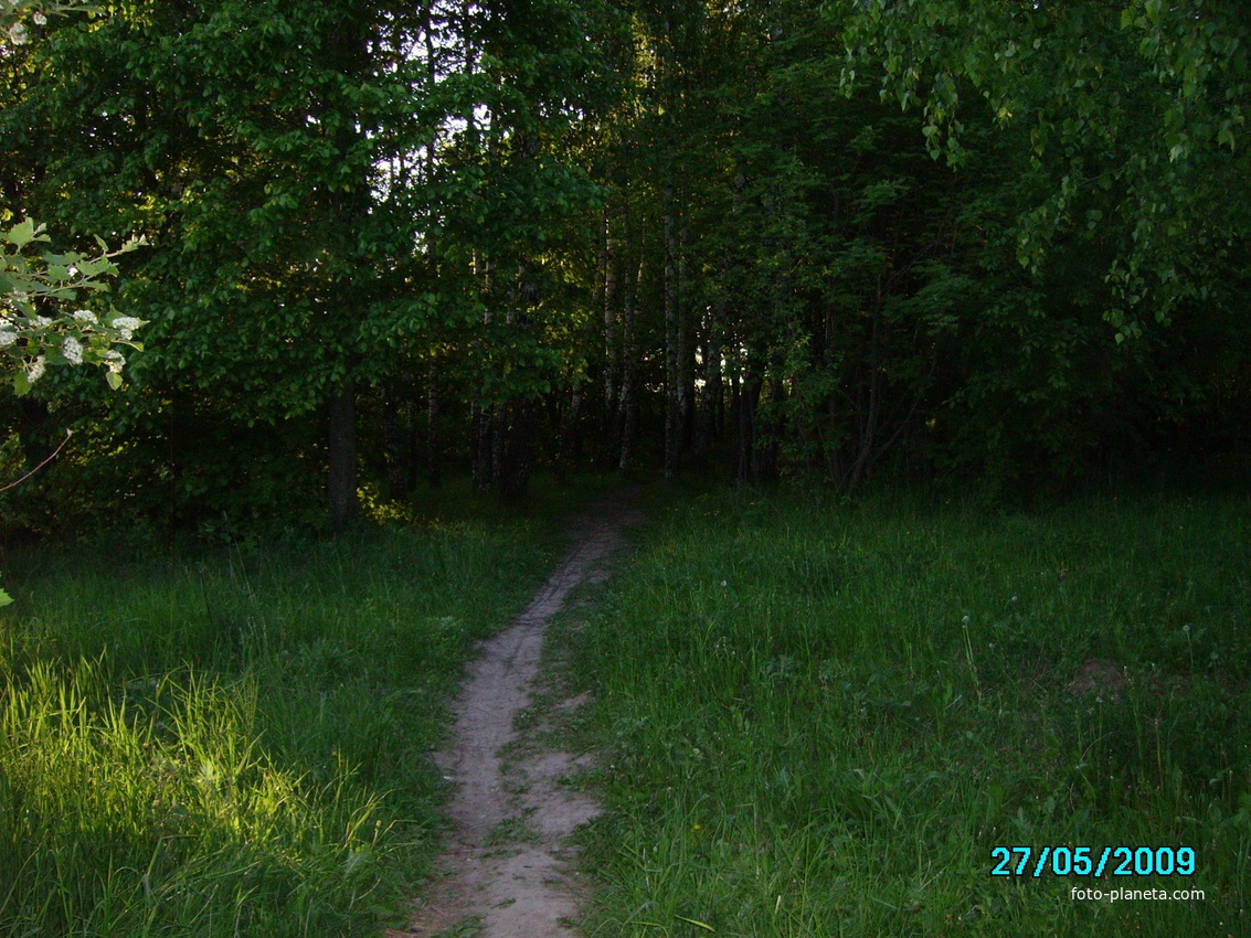 Тропинка в парк