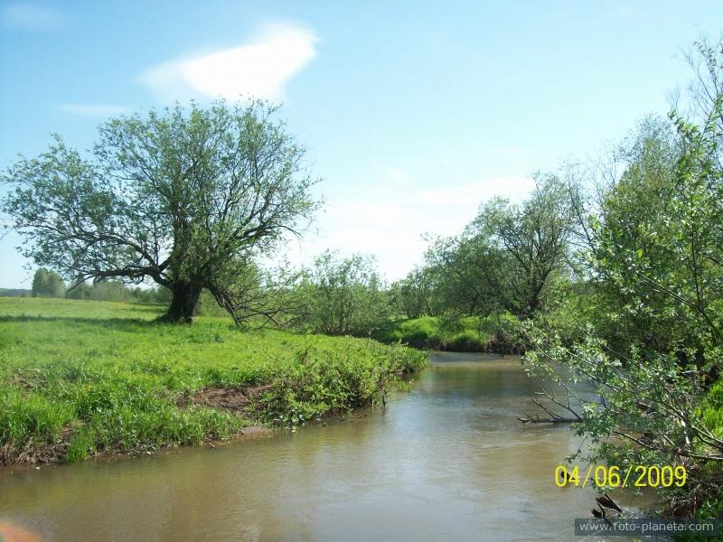 Мамошиха, река Полуденная